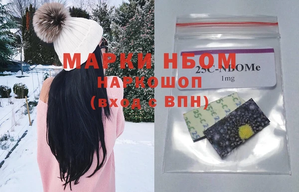индика Алексин