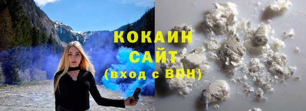 индика Алексин