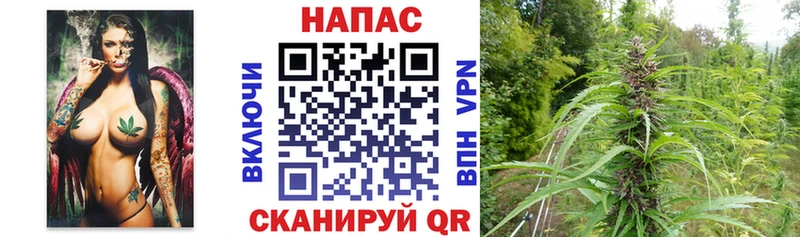 МАРИХУАНА LSD WEED  даркнет сайт  Каменногорск 